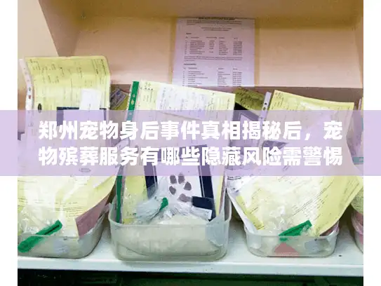 郑州宠物身后事件真相揭秘后，宠物殡葬服务有哪些隐藏风险需警惕？