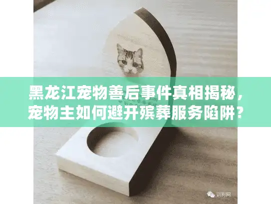 黑龙江宠物善后事件真相揭秘，宠物主如何避开殡葬服务陷阱？