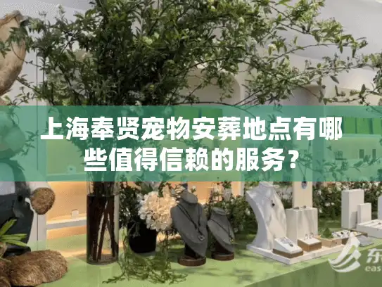 上海奉贤宠物安葬地点有哪些值得信赖的服务？