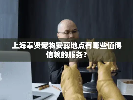 上海奉贤宠物安葬地点有哪些值得信赖的服务？
