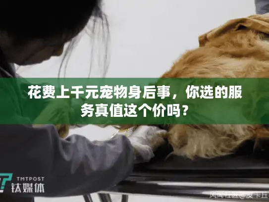 花费上千元宠物身后事，你选的服务真值这个价吗？