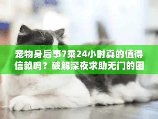 宠物身后事7乘24小时真的值得信赖吗？破解深夜求助无门的困局