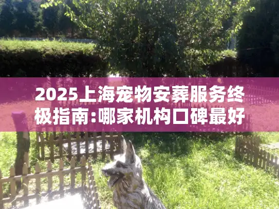 2025上海宠物安葬服务终极指南:哪家机构口碑最好?