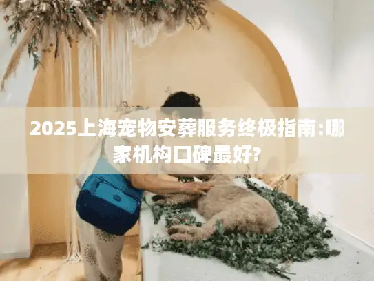 2025上海宠物安葬服务终极指南:哪家机构口碑最好?