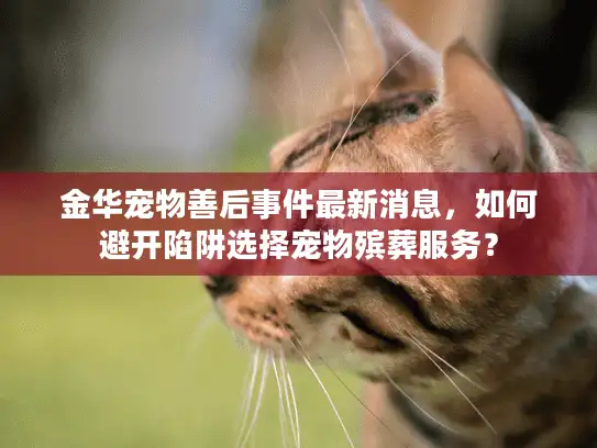 金华宠物善后事件最新消息，如何避开陷阱选择宠物殡葬服务？