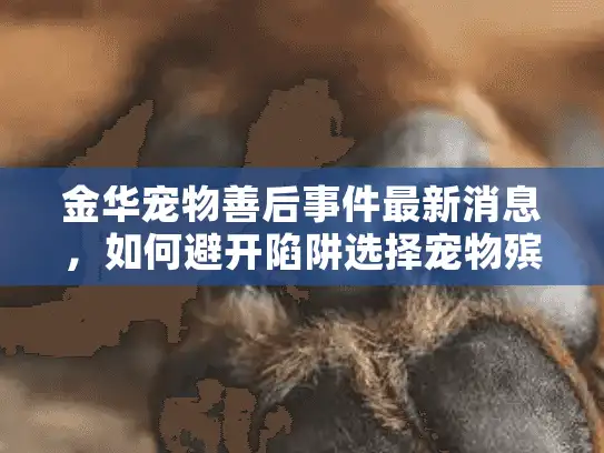 金华宠物善后事件最新消息，如何避开陷阱选择宠物殡葬服务？