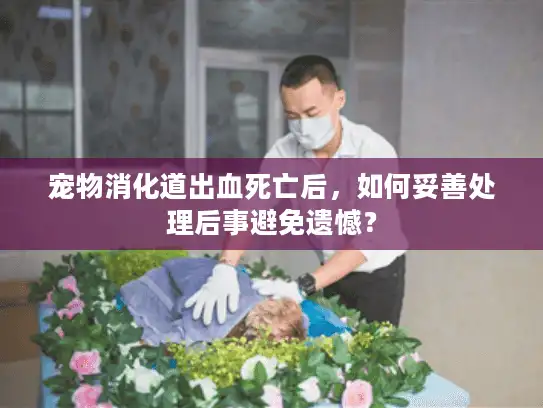 宠物消化道出血死亡后，如何妥善处理后事避免遗憾？