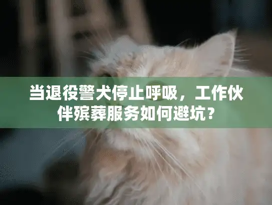 当退役警犬停止呼吸，工作伙伴殡葬服务如何避坑？