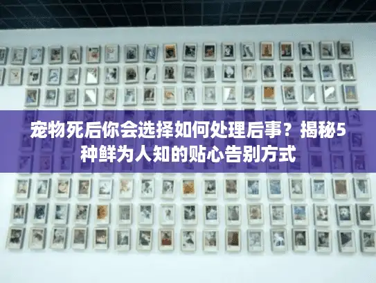 宠物死后你会选择如何处理后事？揭秘5种鲜为人知的贴心告别方式