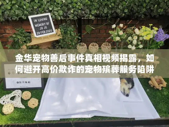 金华宠物善后事件真相视频揭露，如何避开高价欺诈的宠物殡葬服务陷阱？