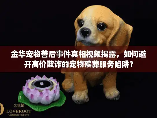 金华宠物善后事件真相视频揭露，如何避开高价欺诈的宠物殡葬服务陷阱？