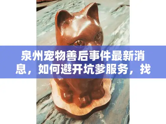 泉州宠物善后事件最新消息，如何避开坑爹服务，找回安心告别？