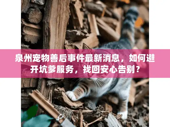 泉州宠物善后事件最新消息，如何避开坑爹服务，找回安心告别？