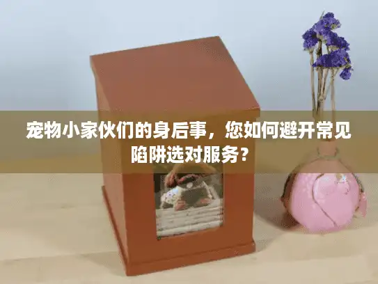 宠物小家伙们的身后事，您如何避开常见陷阱选对服务？
