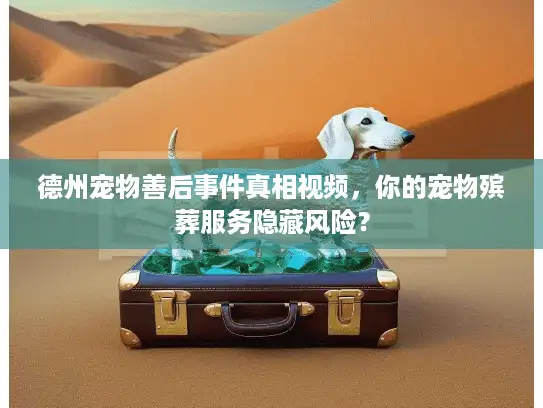 德州宠物善后事件真相视频，你的宠物殡葬服务隐藏风险？