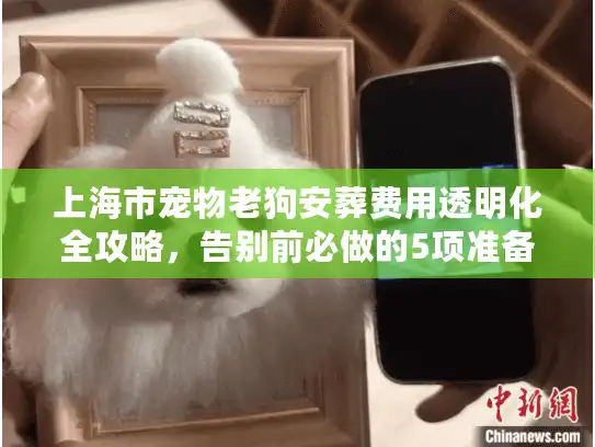 上海市宠物老狗安葬费用透明化全攻略，告别前必做的5项准备