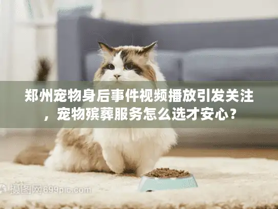 郑州宠物身后事件视频播放引发关注，宠物殡葬服务怎么选才安心？
