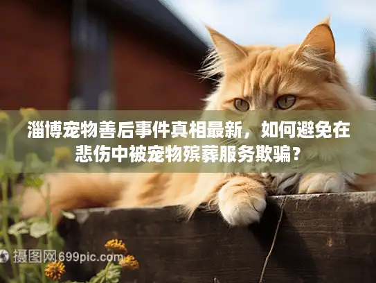 淄博宠物善后事件真相最新，如何避免在悲伤中被宠物殡葬服务欺骗？