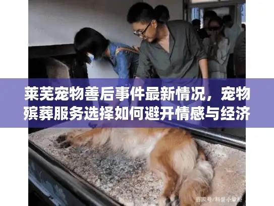 莱芜宠物善后事件最新情况，宠物殡葬服务选择如何避开情感与经济风险？