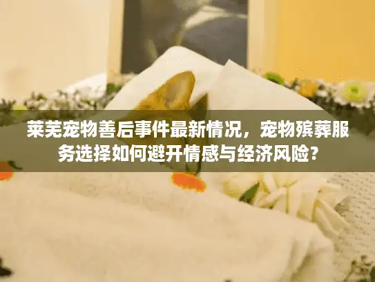 莱芜宠物善后事件最新情况，宠物殡葬服务选择如何避开情感与经济风险？