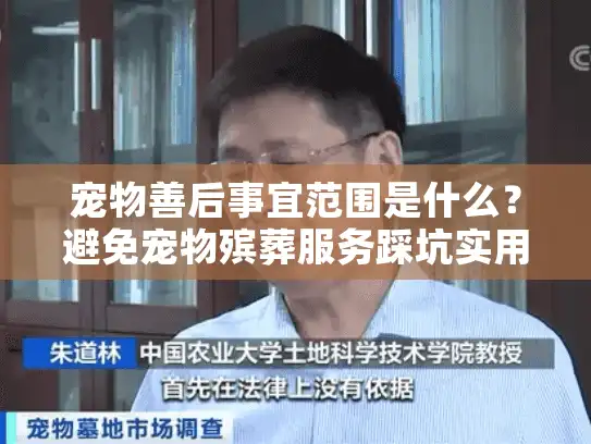 宠物善后事宜范围是什么？避免宠物殡葬服务踩坑实用指南