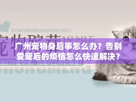 广州宠物身后事怎么办？告别爱宠后的烦恼怎么快速解决？