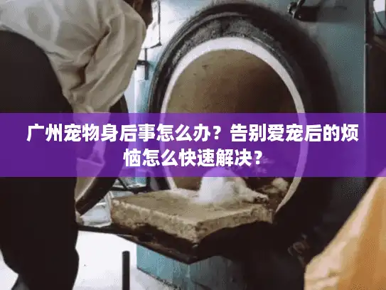 广州宠物身后事怎么办？告别爱宠后的烦恼怎么快速解决？