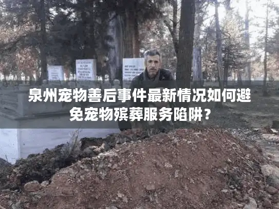 泉州宠物善后事件最新情况如何避免宠物殡葬服务陷阱？