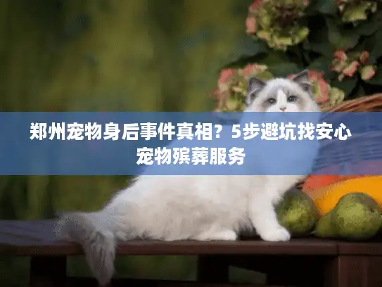 郑州宠物身后事件真相？5步避坑找安心宠物殡葬服务
