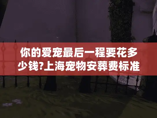 你的爱宠最后一程要花多少钱?上海宠物安葬费标准(含火化/墓地)