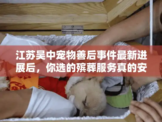 江苏吴中宠物善后事件最新进展后，你选的殡葬服务真的安全吗？内附避坑清单）
