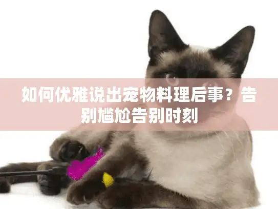 如何优雅说出宠物料理后事？告别尴尬告别时刻