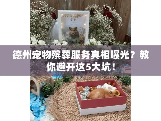德州宠物殡葬服务真相曝光？教你避开这5大坑！