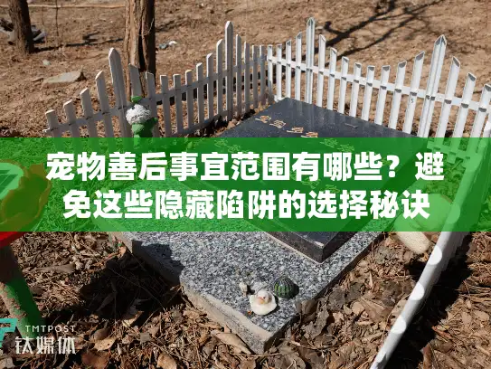 宠物善后事宜范围有哪些？避免这些隐藏陷阱的选择秘诀