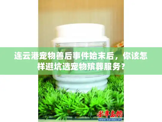 连云港宠物善后事件始末后，你该怎样避坑选宠物殡葬服务？