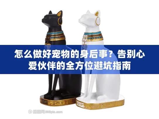怎么做好宠物的身后事？告别心爱伙伴的全方位避坑指南
