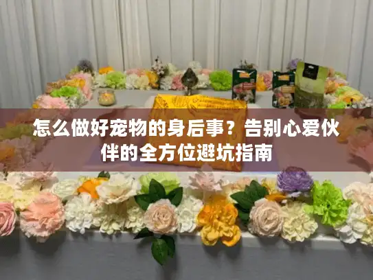 怎么做好宠物的身后事？告别心爱伙伴的全方位避坑指南