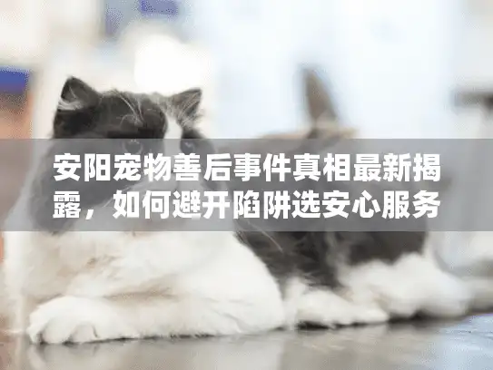 安阳宠物善后事件真相最新揭露，如何避开陷阱选安心服务？