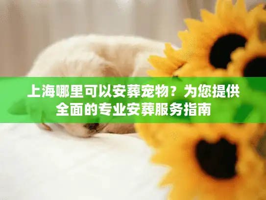 上海哪里可以安葬宠物？为您提供全面的专业安葬服务指南