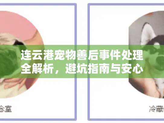 连云港宠物善后事件处理全解析，避坑指南与安心选择