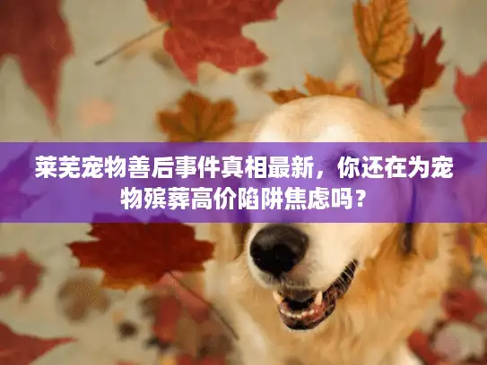 莱芜宠物善后事件真相最新，你还在为宠物殡葬高价陷阱焦虑吗？