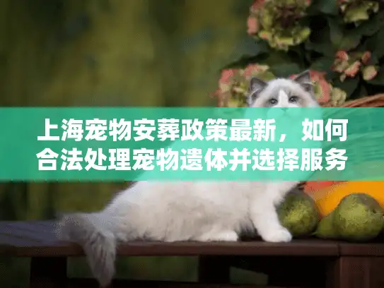 上海宠物安葬政策最新，如何合法处理宠物遗体并选择服务？