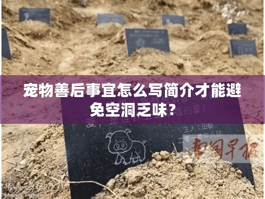 宠物善后事宜怎么写简介才能避免空洞乏味？