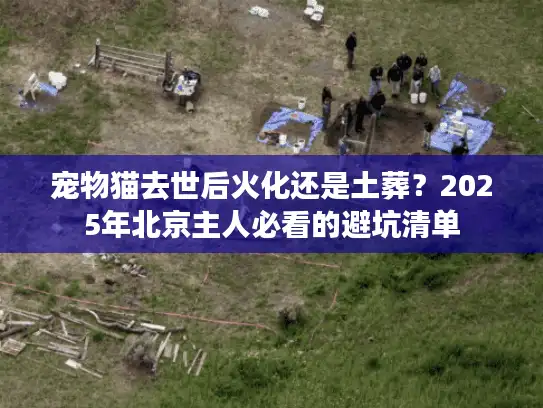 宠物猫去世后火化还是土葬？2025年北京主人必看的避坑清单