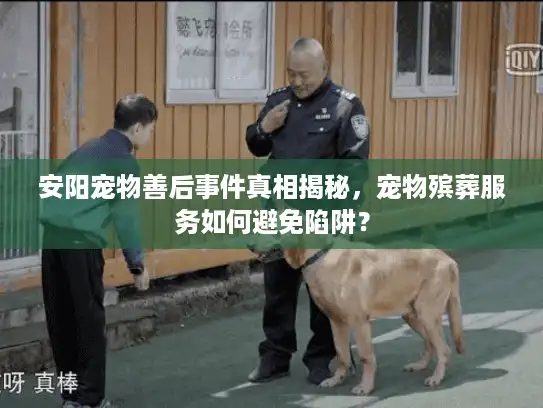 安阳宠物善后事件真相揭秘，宠物殡葬服务如何避免陷阱？
