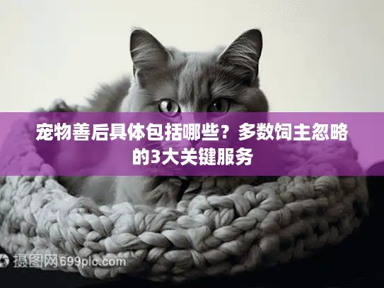 宠物善后具体包括哪些？多数饲主忽略的3大关键服务