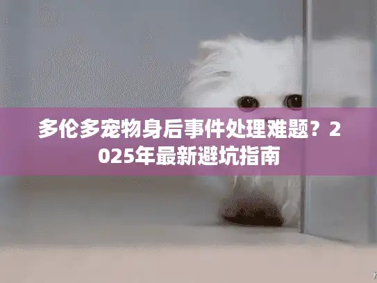 多伦多宠物身后事件处理难题？2025年最新避坑指南