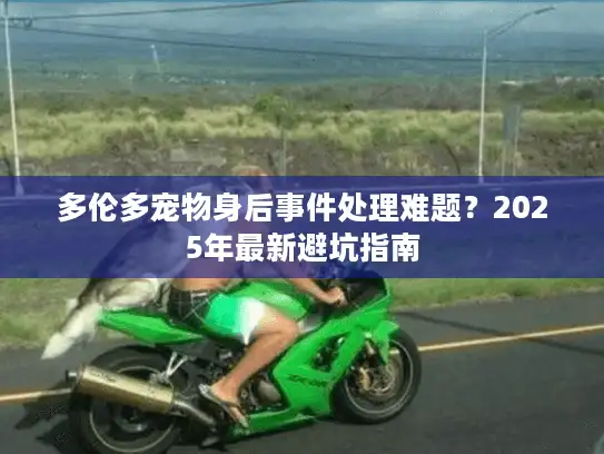 多伦多宠物身后事件处理难题？2025年最新避坑指南
