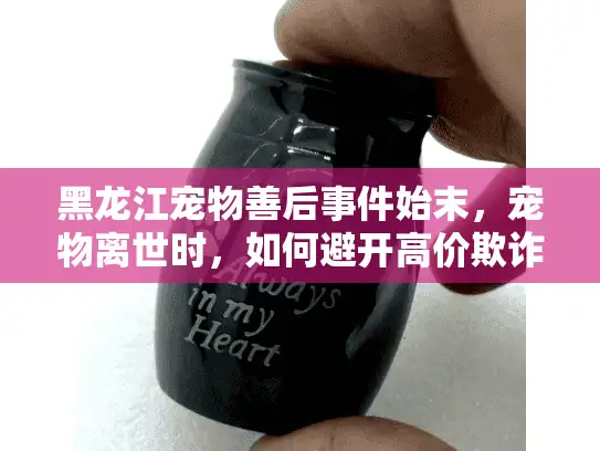 黑龙江宠物善后事件始末，宠物离世时，如何避开高价欺诈选到安心殡葬服务？
