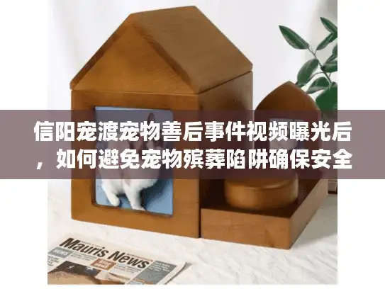 信阳宠渡宠物善后事件视频曝光后，如何避免宠物殡葬陷阱确保安全选择？